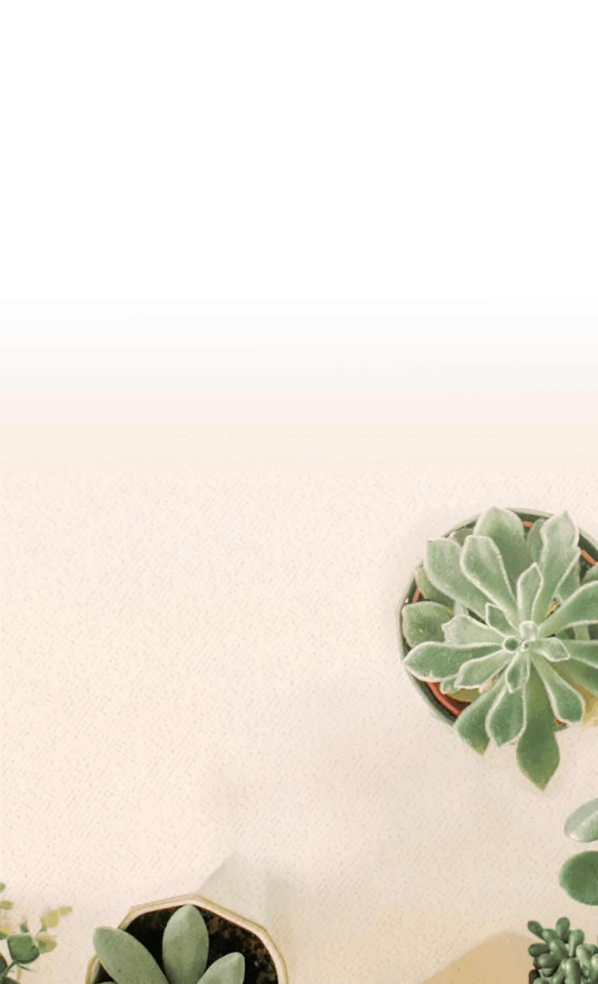 Premium wedding websites lovebird